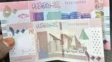 انهيار جديد.. كم سجل سعر الجنيه السوداني مقابل الدولار في تداولات الأربعاء؟